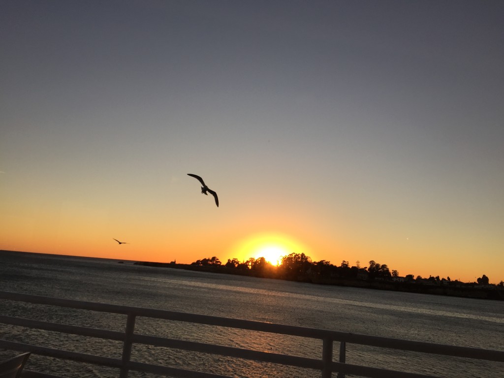 Sunset at Stagnaro Bros. Santa Cruz, CA